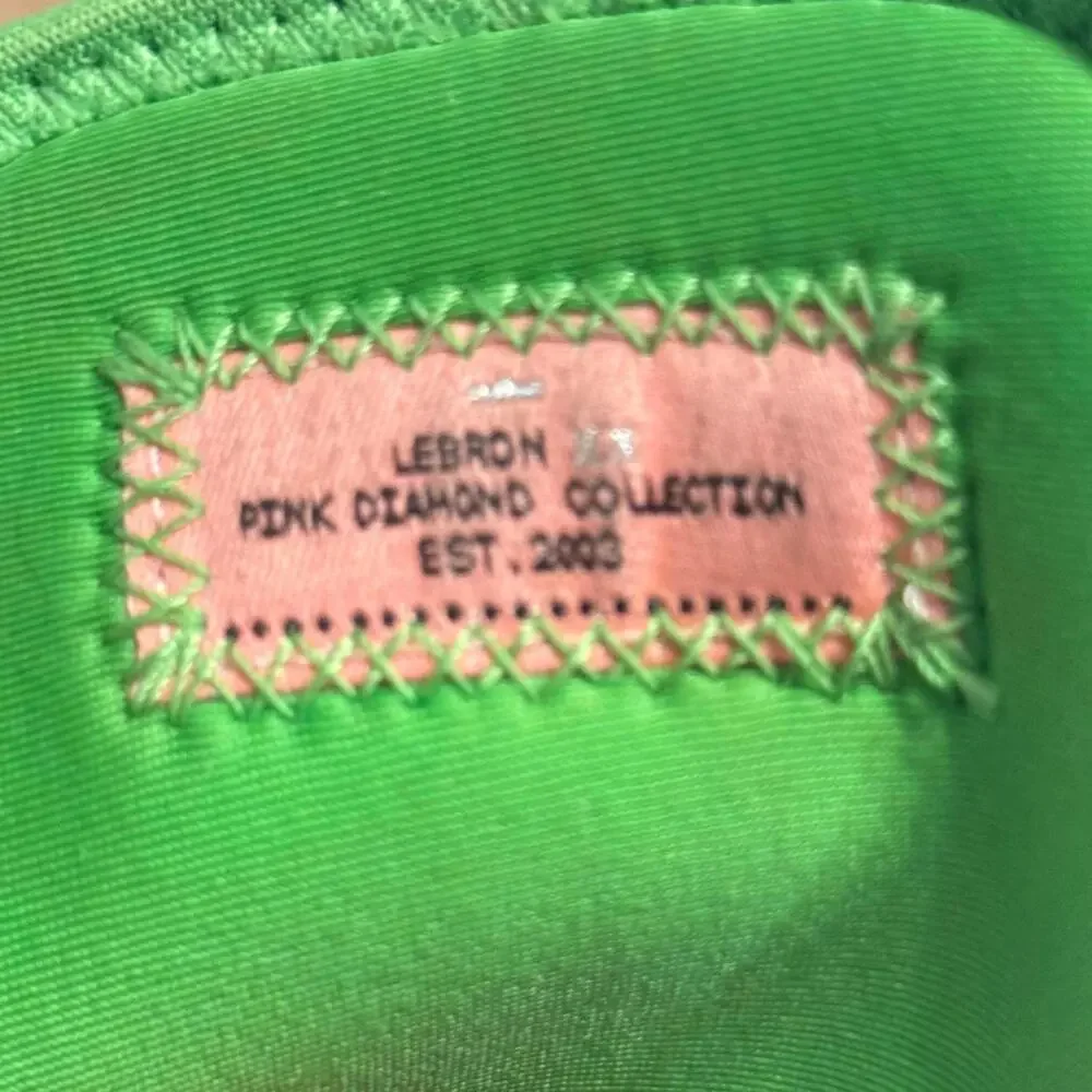 Nike Lebron Sneakers Youth 5.5 Stocking‎ Stuffer 20 Grich Green Basketball GOAT